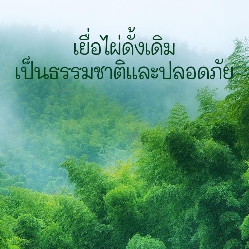 รูปภาพ 6