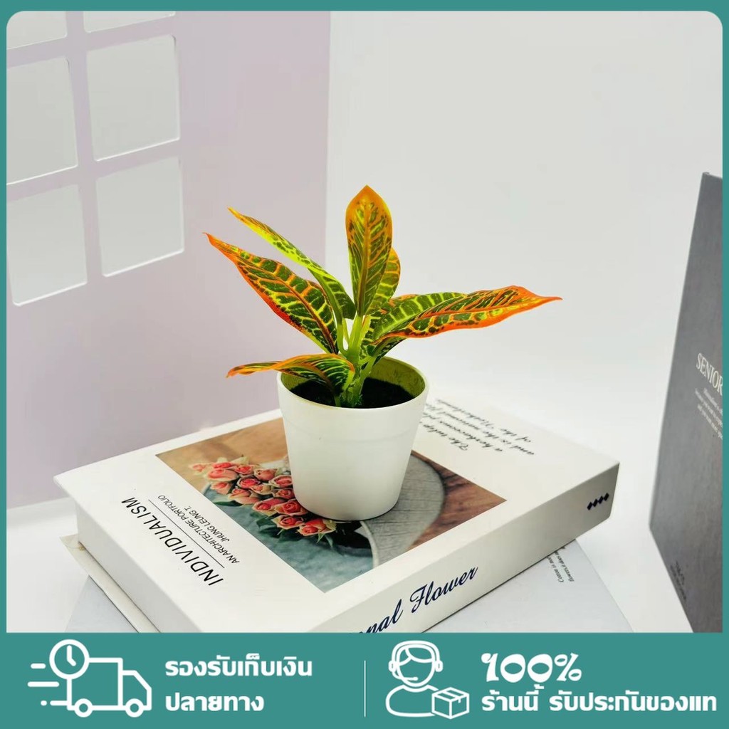 ส่งจากไทย🚛กระถางต้นไม้ประดิษฐ์ สีเขียว แบบสร้างสรรค์ กระถางต้นไม้จําลอง สําหรับตกแต่งโต๊ะ พร็อพถ่ายภาพ