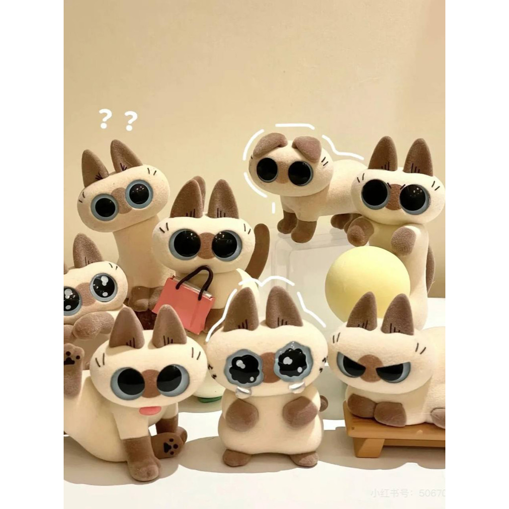 Azuki cat Can blind box -blind box สุ่ม azukican cat รุ่น Nguyeen Gia group Cao Dat Q5
