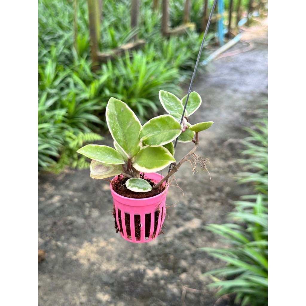 มุมมอง 2