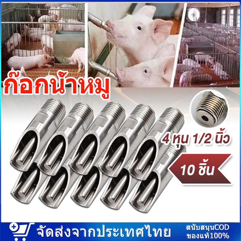 ส่งจากไทยก็อกน้ำหมูสแตนเลสเกลียว ก๊อกน้ำหมู 4 หุน หรือ 1/2 นิ้ว แข็งแรงทนทาน 1ชุด5ชิ้น จุ๊บหมู จุกดูดน้ำหมู แข็งแรง