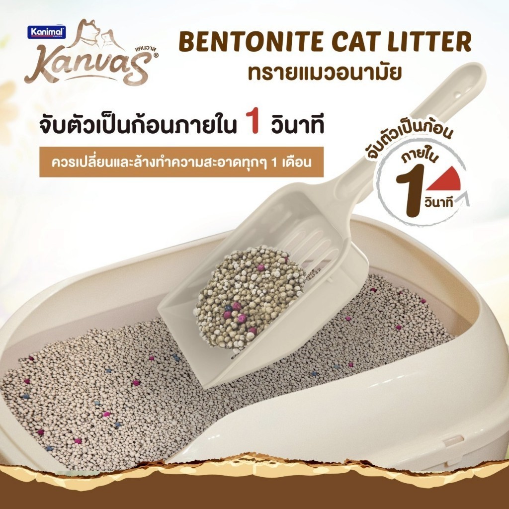 รูปภาพ 4