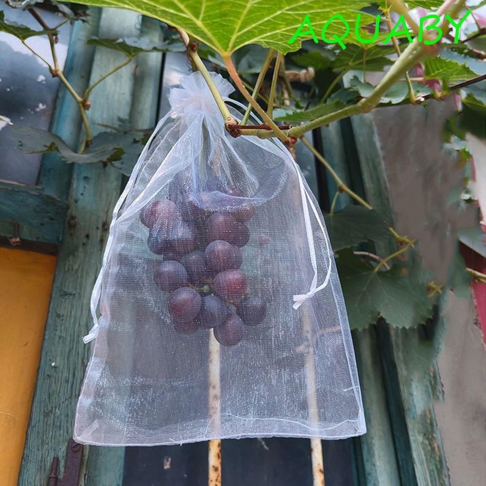 AQUABY 100 ชิ้นถุงป้องกันพืชผัก, ตาข่าย Breathable องุ่นผลไม้เติบโตกระเป๋า, มัลติฟังก์ชั่สีขาว Generic กระเป๋าผลไม้สําหรับ Pest Control Anti-Bird