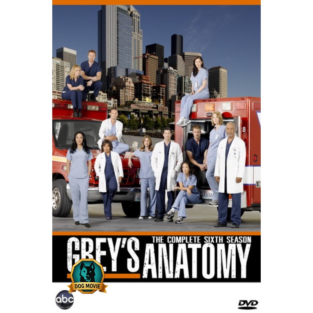 DVD Grey s Anatomy Season 6 แพทย์มือใหม่หัวใจเกินร้อย ปี 6