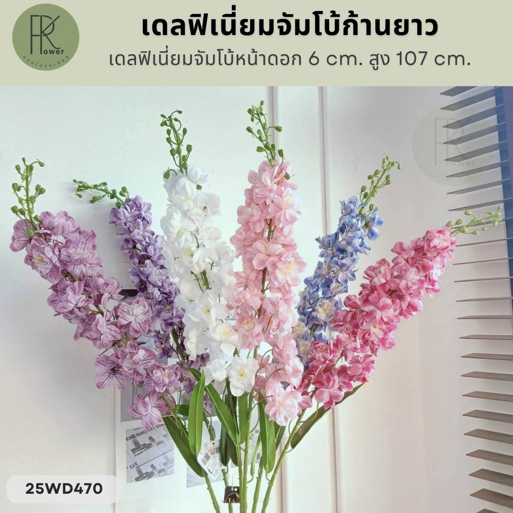เดลฟิเนี่ยมจัมโบ้ก้านยาว หน้าดอก 6 cm. สูง 107 cm.