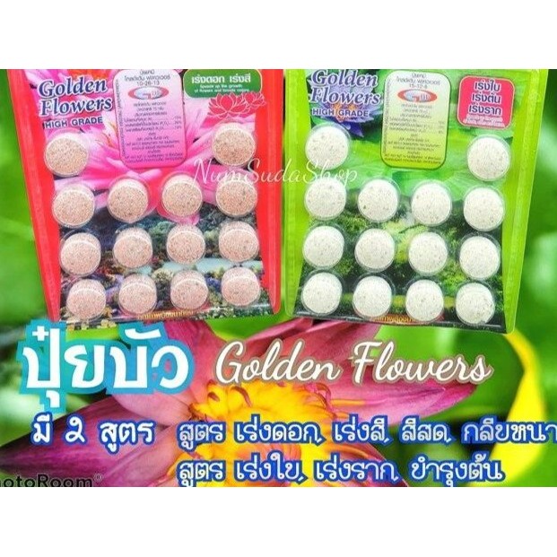 ปุ๋ยบัว ปุ๋ยบอนสี ปุ๋ยไม้น้ำ Golden Flowers 14 เม็ด มี2สูตร สูตรเร่งต้น และเร่งดอก #ปุ๋ยบัว #ปุ๋ยบอนสี #ปุ๋ยกล้วยไม้