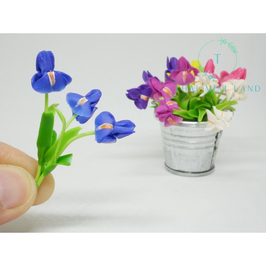 ดอกไอริส Iris ดอกไอริสจิ๋ว ดอกไม้ดวงตาแห่งสวรรค์ ดอกไอริสดินปั้น ดอกไม้ดินปั้น ดอกไม้จิ๋ว ไอริส #ของจิ๋ว #ของตกแต่ง