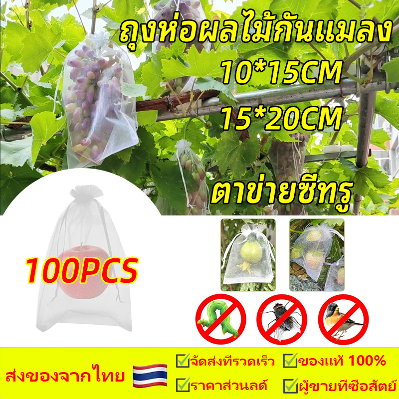 ถุงตาข่ายไนล่อน แพ็ค 50 ใบ สำหรับห่อผลไม้ ป้องกันแมลงเจาะ กันแมลง ตาข่ายตาถี่ ระบายอากาศได้ดี  ไม่อับชื้น แสงผ่านดี