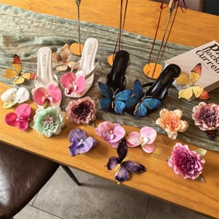 Holiday Fairy Phalaenopsis ดอกไม้รองเท้าหัวเข็มขัดรองเท้าดอก…