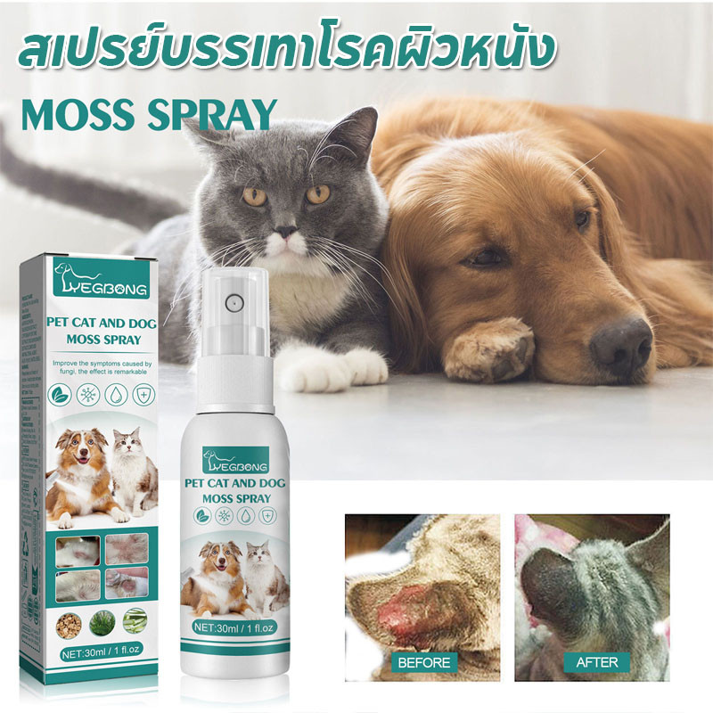 สเปรย์รักษาโรคผิวหนังสัตว์เลี้ยง 30ml ฆ่าเชื้อรา กลาก เกลื้อน ขี้เรื้อน ปลอดภัยต่อผิวสุนัข แมวทุกสายพันธุ์