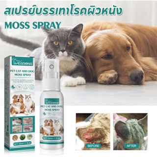 สเปรย์รักษาโรคผิวหนังสัตว์เลี้ยง 30ml ฆ่าเชื้อรา กลาก เกลื้อ…