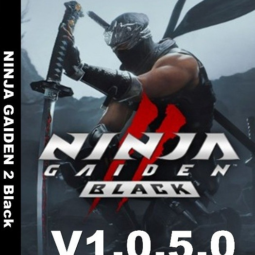 🎮 [เกม PC] [เกม คอม] [USB] NINJA GAIDEN 2 Black OOOO