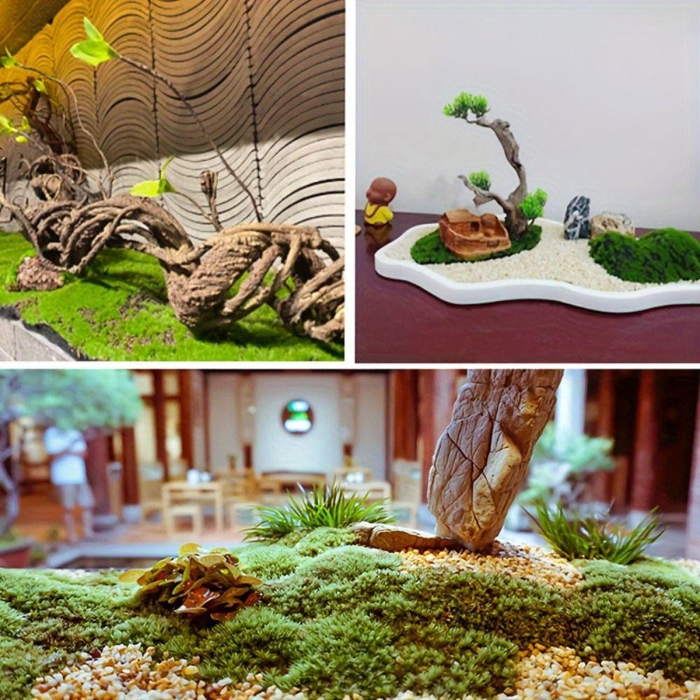 WELLNESSSPOT พรมมอสเทียม,ทนทาน 50*50 ซม.สนามหญ้ามอสปลอม,อุปกรณ์ถ่ายภาพ DIY เหมือนจริงสีเขียวปลอมเสื่อหญ้าสีเขียวสวน ราคา ถูกที่สุด ดีลบีเคเค แกลเลอรีภาพที่ 5