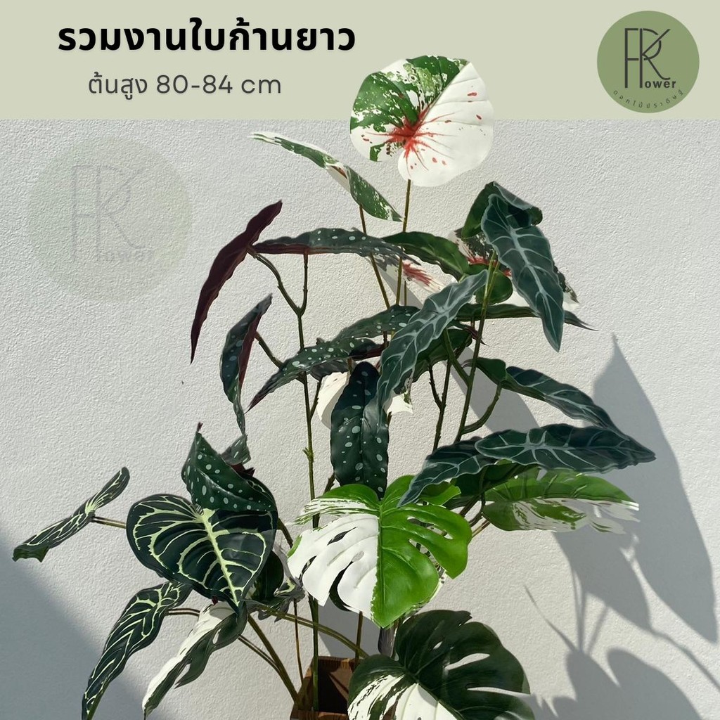 รวมงานใบก้านยาว ต้นสูง 80-84 cm รวมใบบอนสี ดอกไม้ประดิษฐ์ ตกแต่งบ้าน