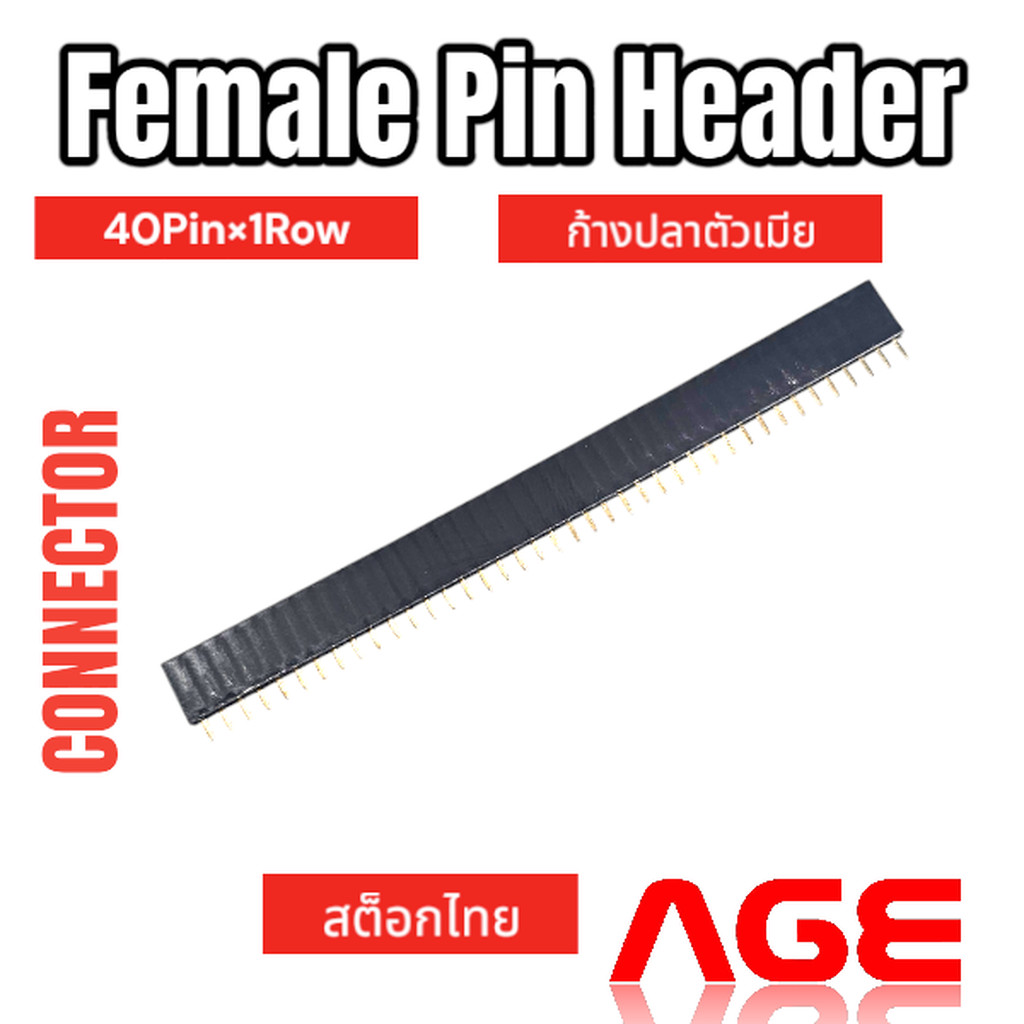 Female Pin Header Connector 40 Pin (40PinX1Row), Pitch 2.54mm Female ก้างปลาตัวเมีย