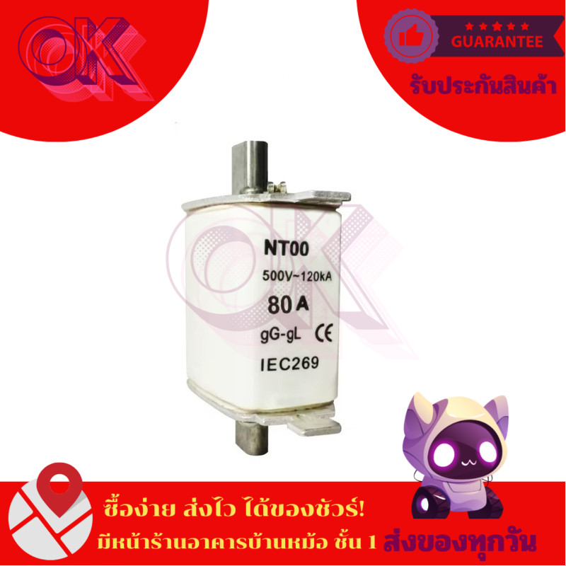 ฟิวส์ ฟิวส์ใบมีด NT00 500V~120kA 16A,20A,25A,32A,35A,40A,50A,63A,80A,100A,125A,160A