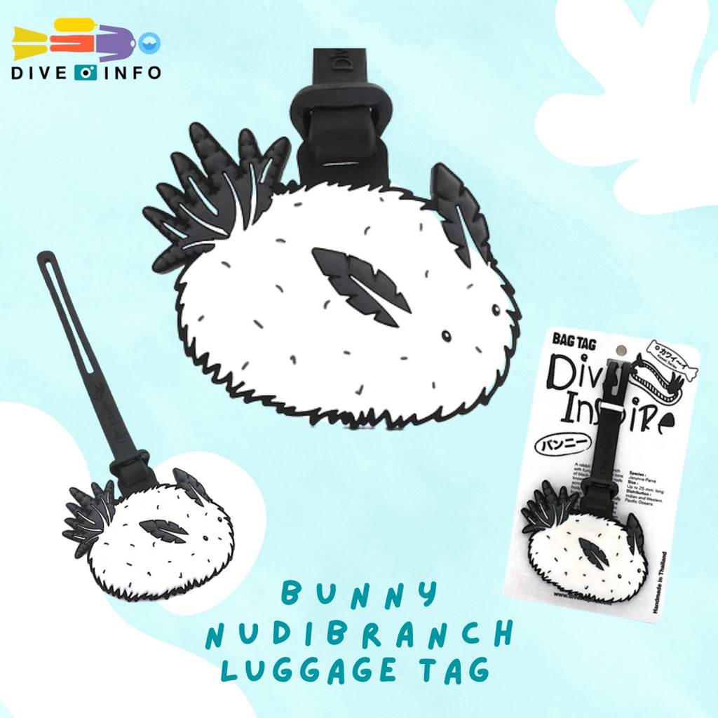 Dive Inspire Luggage Tag, Bag Tag, Key-Ring, NUDI Blind Box รวมของน่ารัก ของที่ระลึก