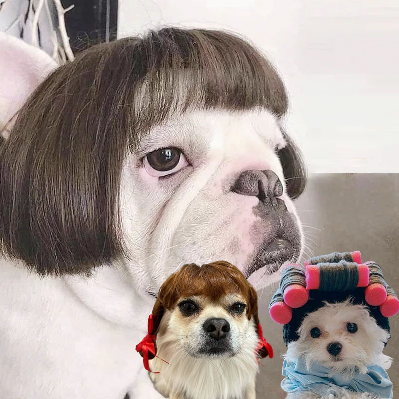 🐶COD😻 ผมปลอม วิกผมสังเคราะห์สําหรับสัตว์เลี้ยงสุนัขแมว สัตว์เลี้ยง แมว หมา