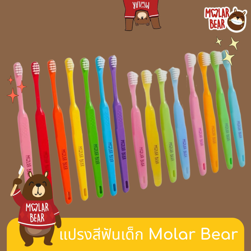 แปรงสีฟัน Molar Bear มีครบทุกรุ่น แปรงตั้งแต่ซี่แรก Molar bear โมล่าร์แบร์