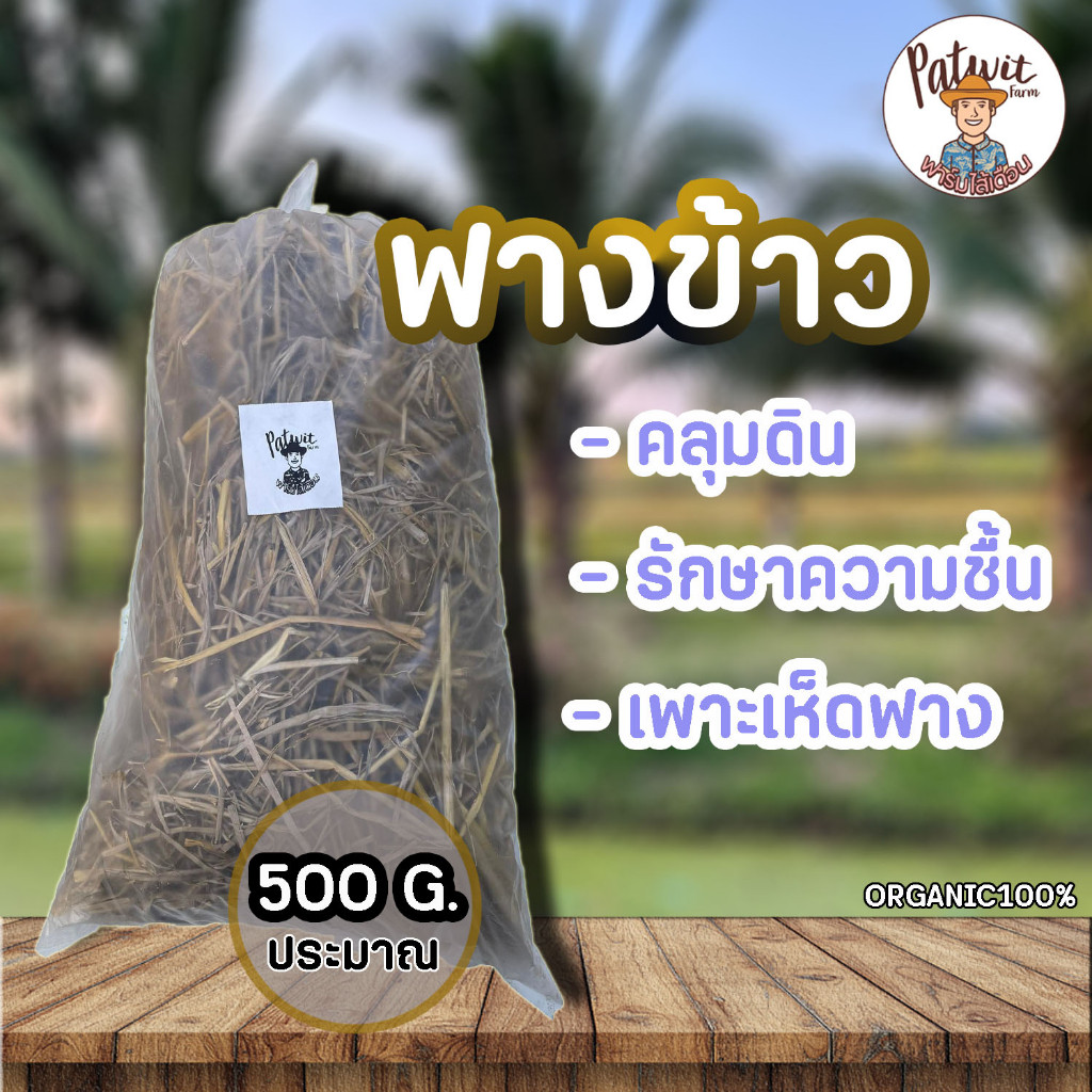 (2ถุง50ใช้โค้ดส่งฟรีทักแชท) ฟางข้าว RICE STRAW ถุงใหญ่ น้ำหนักเบา ขนาดประมาณ 500 กรัม(น้ำหนักขึ้นอยู่กับความชื้น)