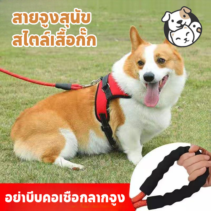 พร้อมจัดส่งสายจูงสัตว์เลี้ยงสายจูงสัตว์เลี้ยงปลอกคอสุนัขสายจูงสุนัข M/L เชือกลากแมว