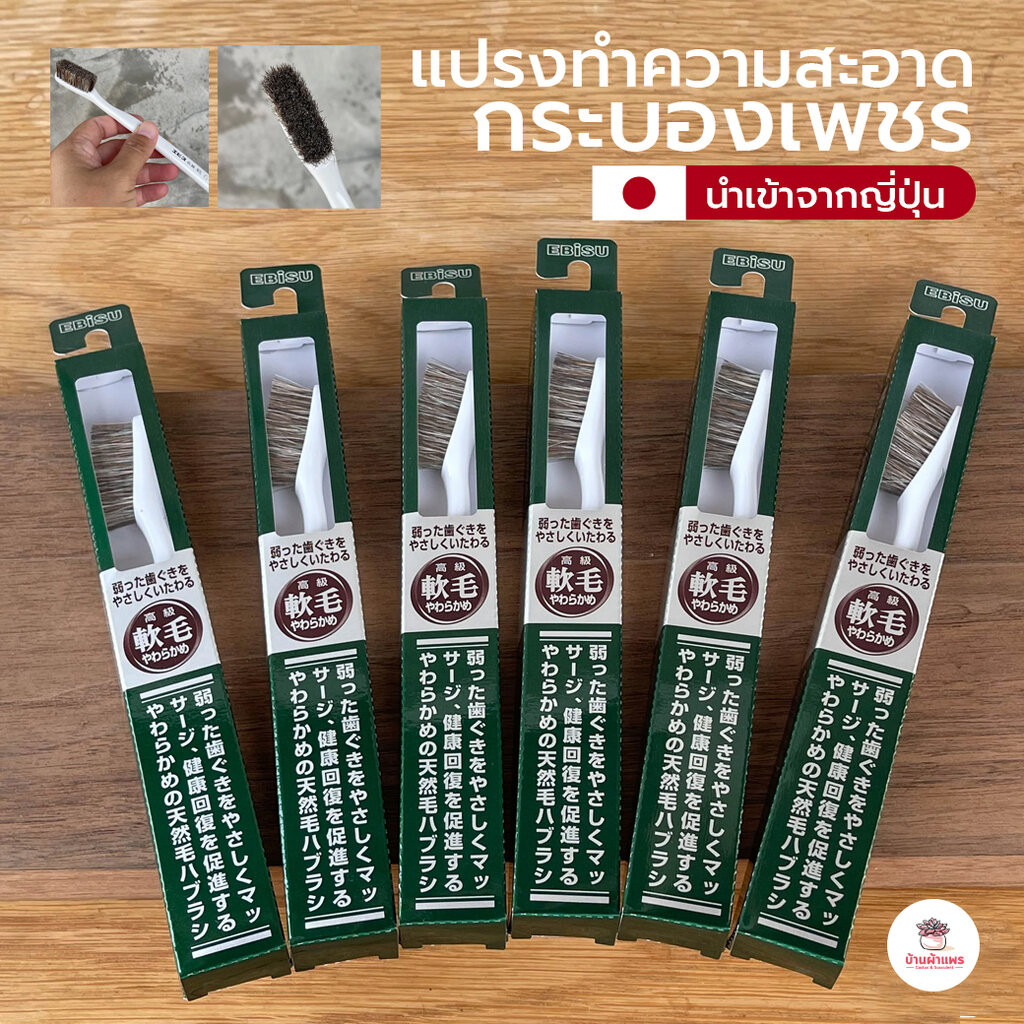 แปรงทำความสะอาดกระบองเพชร แปรงขนม้า Ebisu #นำเข้าจากญี่ปุ่น
