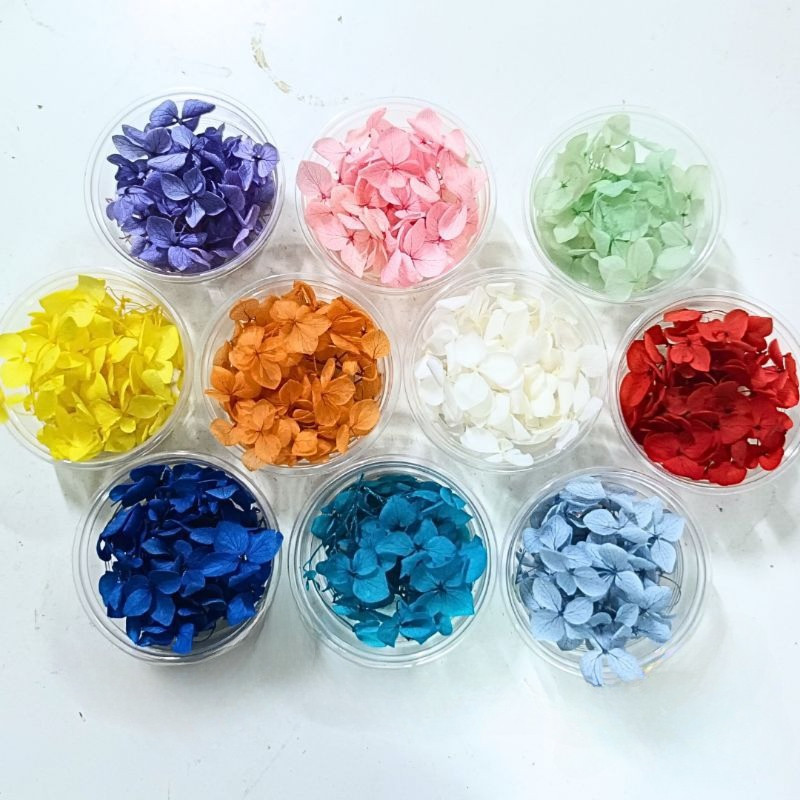 กลีบไฮเดรนเยียอบแห้ง ดอกไม้แห้งพร้อมส่งจากกทม มีหลายสีให้เลือก