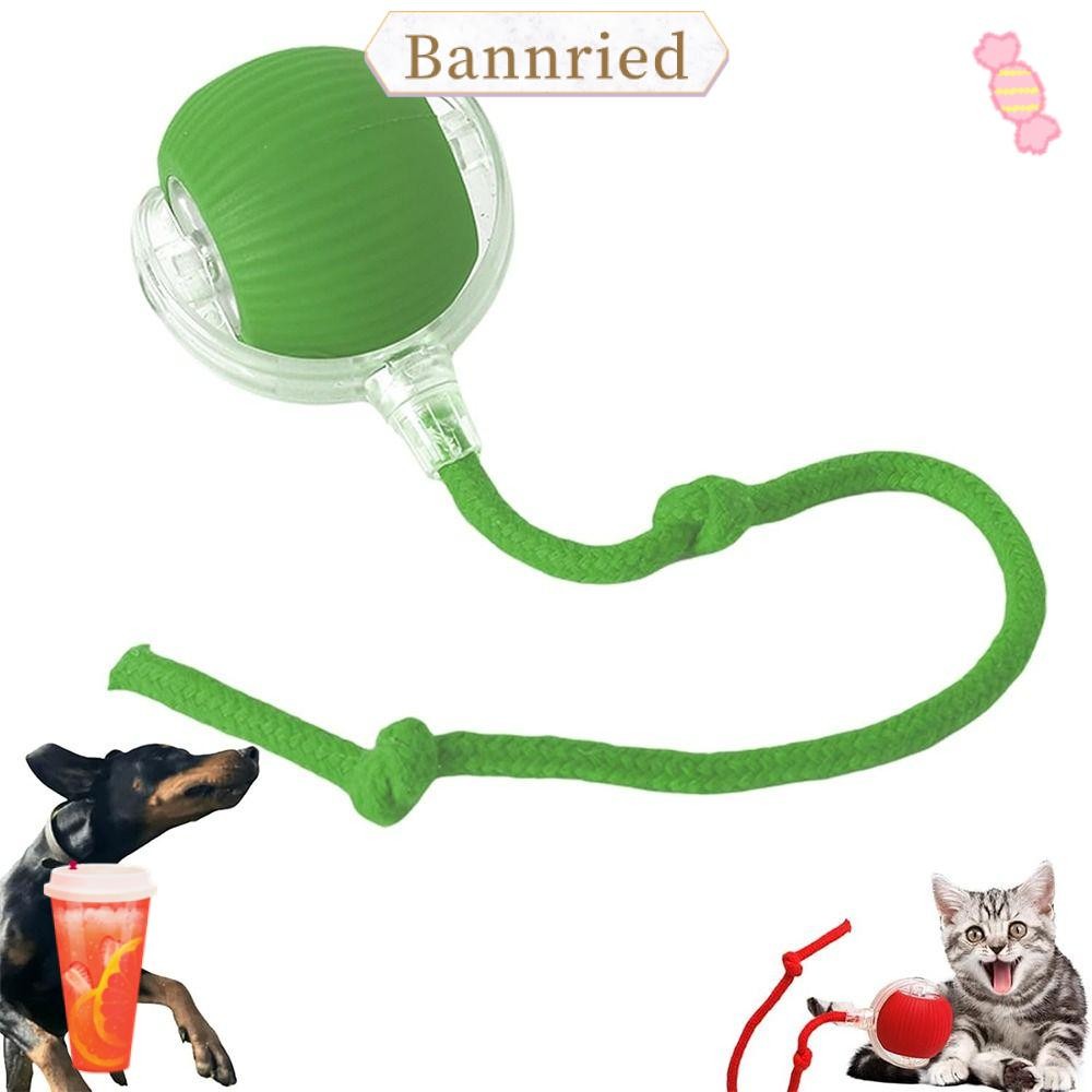 Bannriedsg989 ของเล่นลูกบอลแมวไฟฟ้า, ของเล่นแมวอัจฉริยะแบบชาร์จอัตโนมัติ, ตลกเลียนแบบเมาส์หางเล่นในร่ม Fast Rolling Dog Cat Training Ball อุปกรณ์สัตว์เลี้ยง