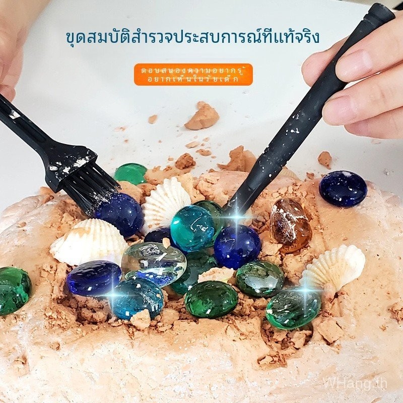 โบราณคดีขุดของเล่นเด็กยิปซั่มล่าสมบัติกล่องตาบอดฟอสซิลสมบัติโบราณคดีขุดอัญมณี