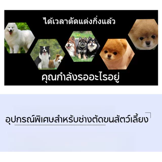 SKISOPGOกรรไกรตัดขนสัตว์เลี้ยงสุนัขแมว กรรไกรตัดเล็บสัตว์เลี้ยงพร้อมหวีสแตนเลสและกระเป๋าสำหรับเก็บ