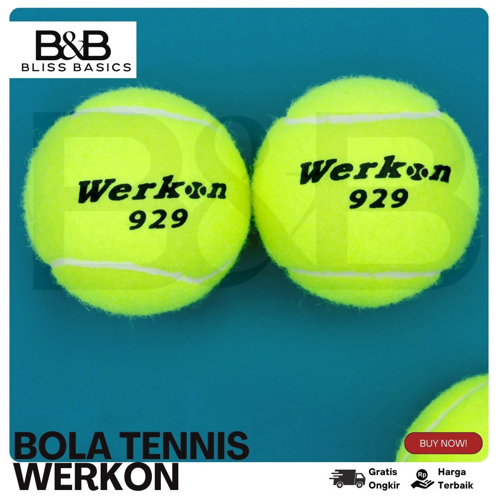 Werkon Tennis Ball / Tennis Ball บรรจุ 3 / Kasti Ball B-190