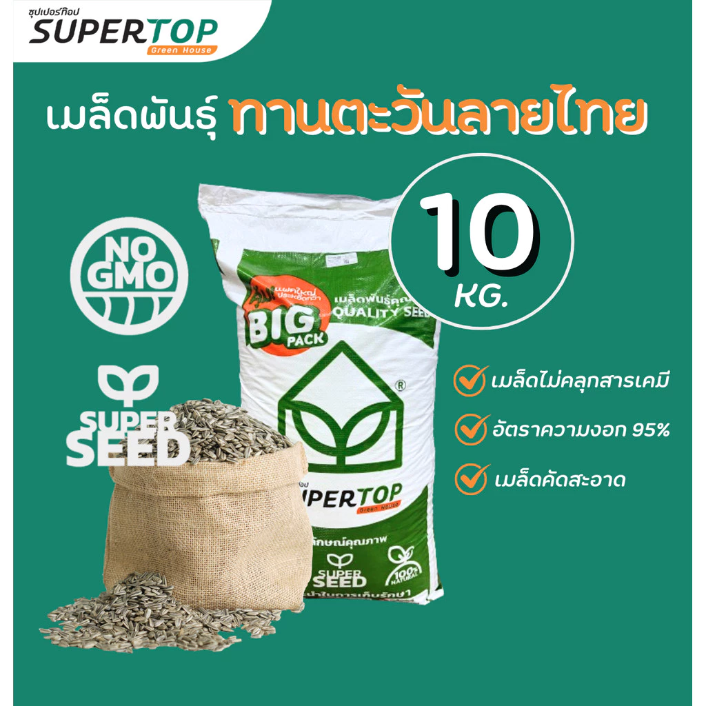 เมล็ดเพาะต้นอ่อน SUPERTOP | ยกกระสอบ 10 KG.