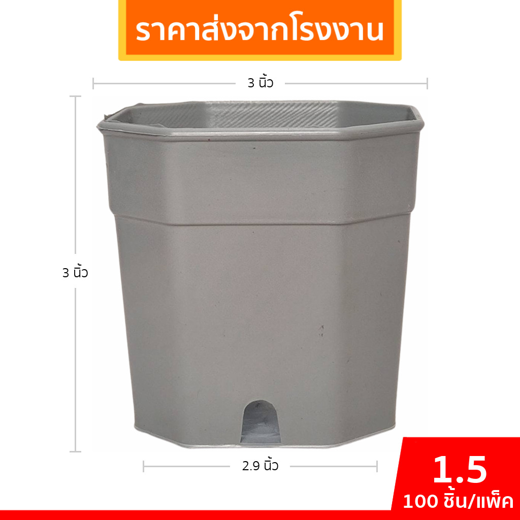 กระถางต้นไม้ กระถาง 8 เหลี่ยม กระถางแคลตัส เบอร์ 3 นิ้ว สีเทา 100 ใบ ชิ้น ยกมัด