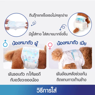 YTL🐕ผ้าอ้อมสุนัขเพศผู้ ผ้าอ้อมสุนัขเพศชาย ผ้าอ้อม สำหรับสุนัขและแมว ผ้าอ้อมน้องหมา ผ้าอ้อมสุนัข เพศเม แบบใช้แล้วทิ้ง