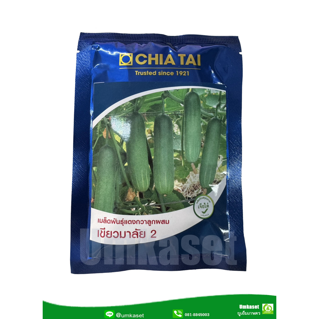เมล็ดพันธุ์แตงกวา เขียวมาลัย 2 ตราเจียไต๋ (50กรัม)