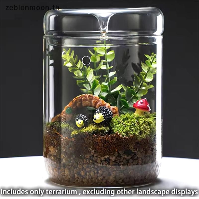 [H&B Apr] ขวดแก้ว ความคิดสร้างสรรค์ Dew Collection แจกันแก้ว Micro ภูมิทัศน์ Moss ภูมิทัศน์แก้ว Terrarium ตกแต่งบ้าน {th}