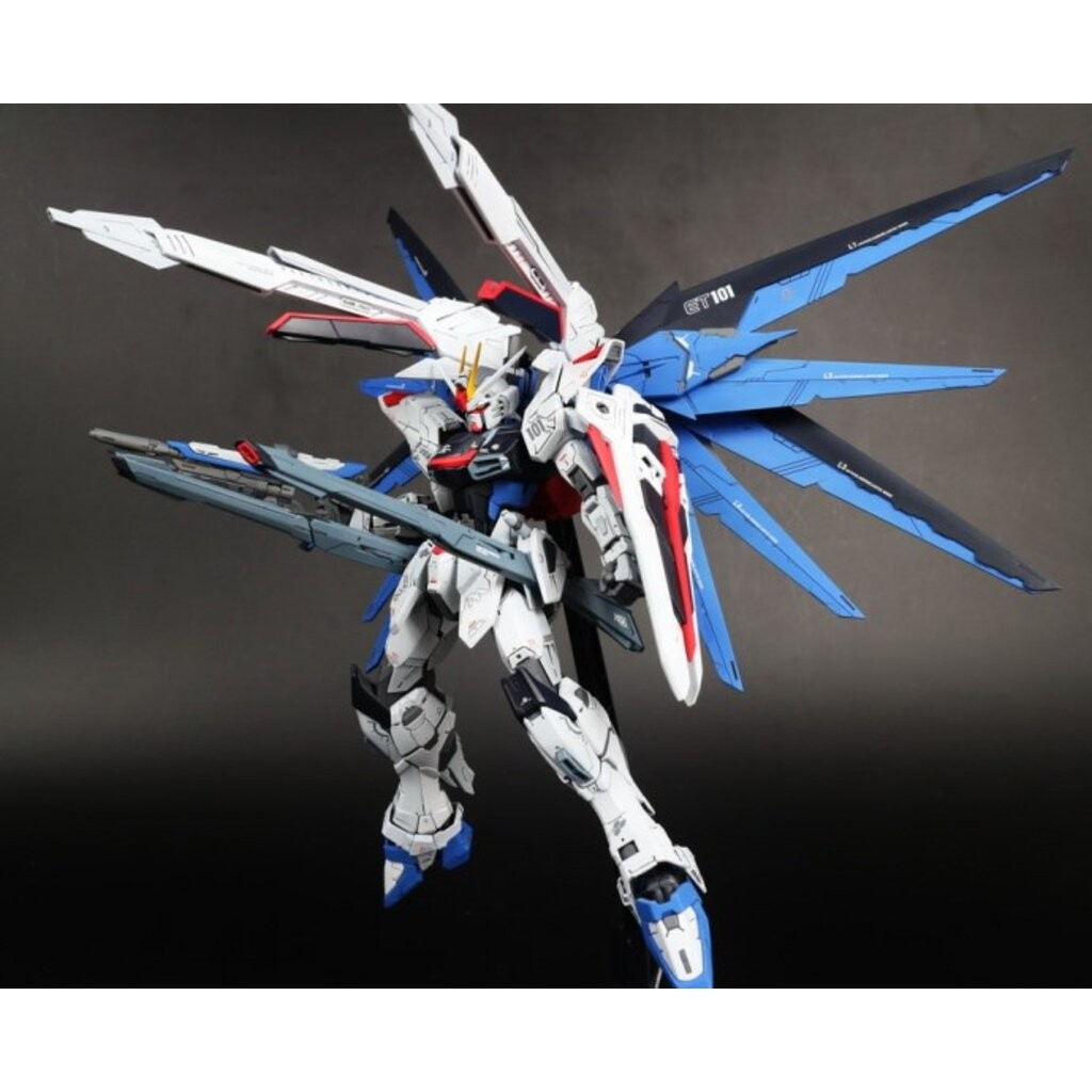 [Daban] MG 1/100 6650 ZGM F-X10A Freedom2.0