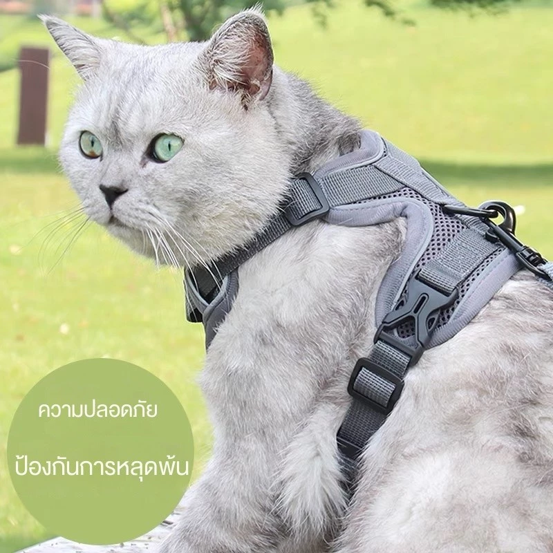 new arrival pet cat good sell สายจูงแมวสัตว์เลี้ยง ใหม่ สายจูงแมวเดินกลางแจ้ง ทนทาน ราคาถูก
