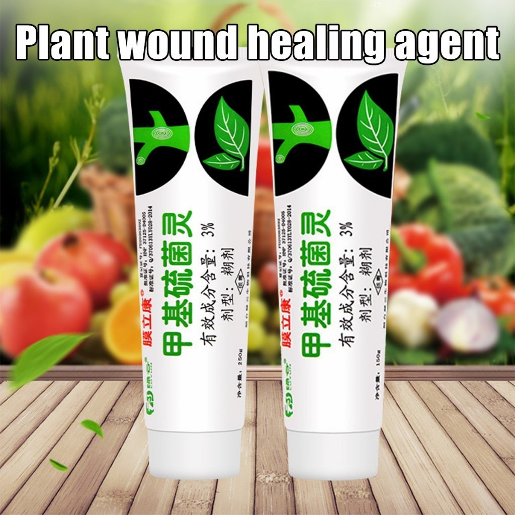 ร้านอยู่กทม. 150g ยาทาแผลต้นไม้ สำหรับต้นไม้หลายชนิด ด่าง บุษราคัม เสน่จันทร์บอนไซ ป้องกันเชื้อรา  สำหรับไม้ด่าง - รูปที่ 2