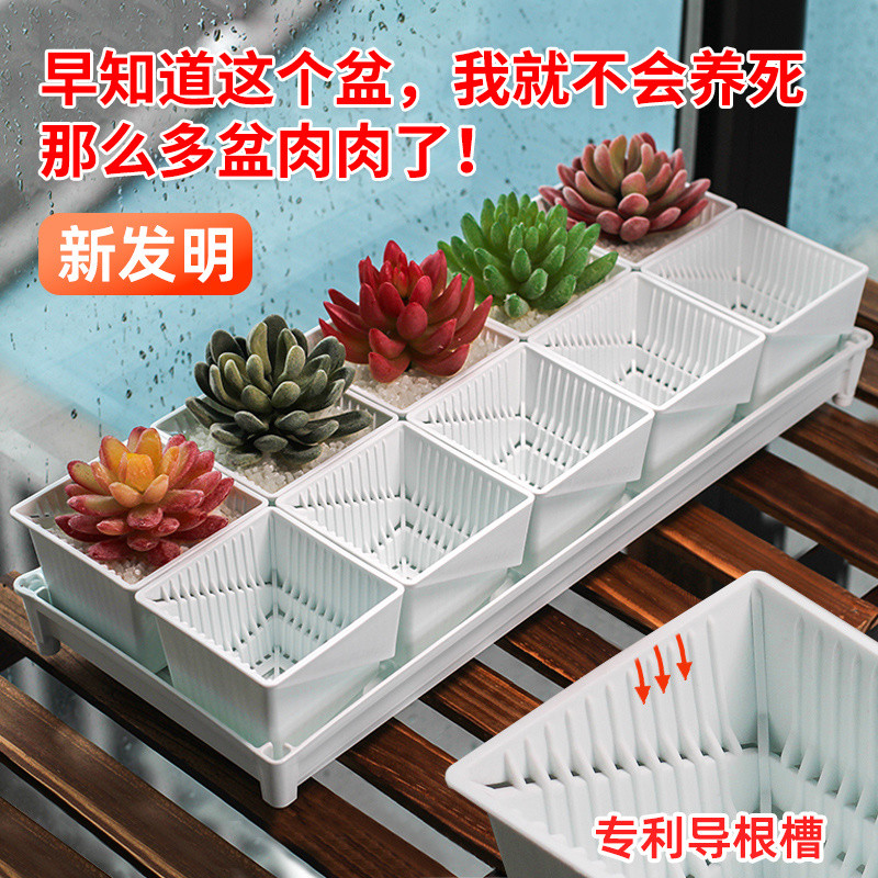 [คำแนะนำสไตล์ร้อน] Meishi Root-Control กระถางดอกไม้อวบน้ำชุดพลาสติกรวมกันหม้อควบคุมเนื้อระบายอากาศที่สร้างสรรค์พร้อมถาดกระถางดอกไม้ขนาดเล็ก