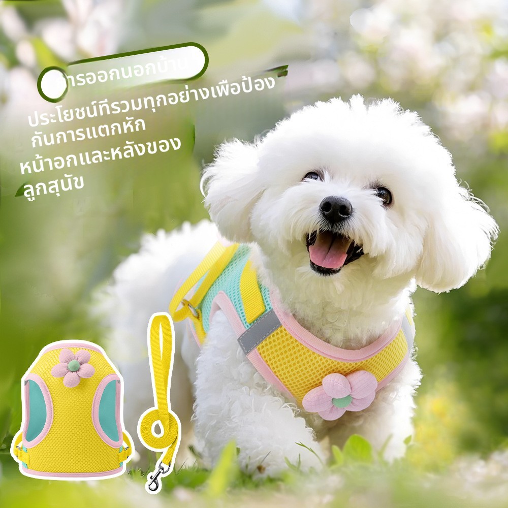 เสื้อเกราะสายจูงแมว-หมาเล็ก รุ่นใหม่ ป้องกันหลุดง่าย ระบายอากาศ น่ารักสุดฟรุ้ง โทนสีมาการองหวาน ชุด