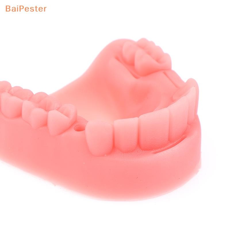 [BaiPester] โมเดลเย็บแผลในช่องปากจําลอง 4 ชิ้น อุปกรณ์ฝึกการสอนการเย็บหมากฝรั่ง - รูปที่ 5