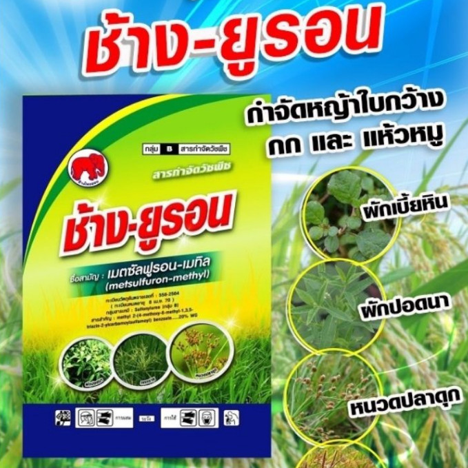 ช้างยูรอน เมตซัลฟูรอน-เมทิล 20% ขนาด 50g แห้วหมู ผักปอดนา และเทียนนา กกทราย และหนวดปลาดุก ช้างไทออน