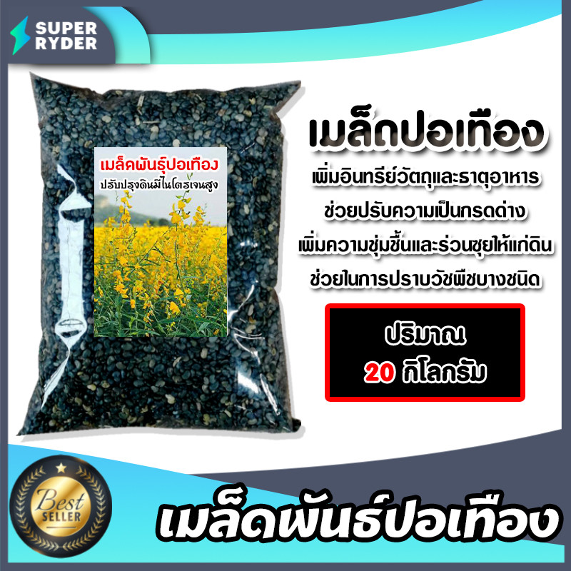 เมล็ดปอเทือง มีให้เลือก 20-25กก. ประดับสวยงาม ดอกเหลือง ไถกลบเป็นพืชบำรุงดิน เป็นปุ๋ยอินทรีย์