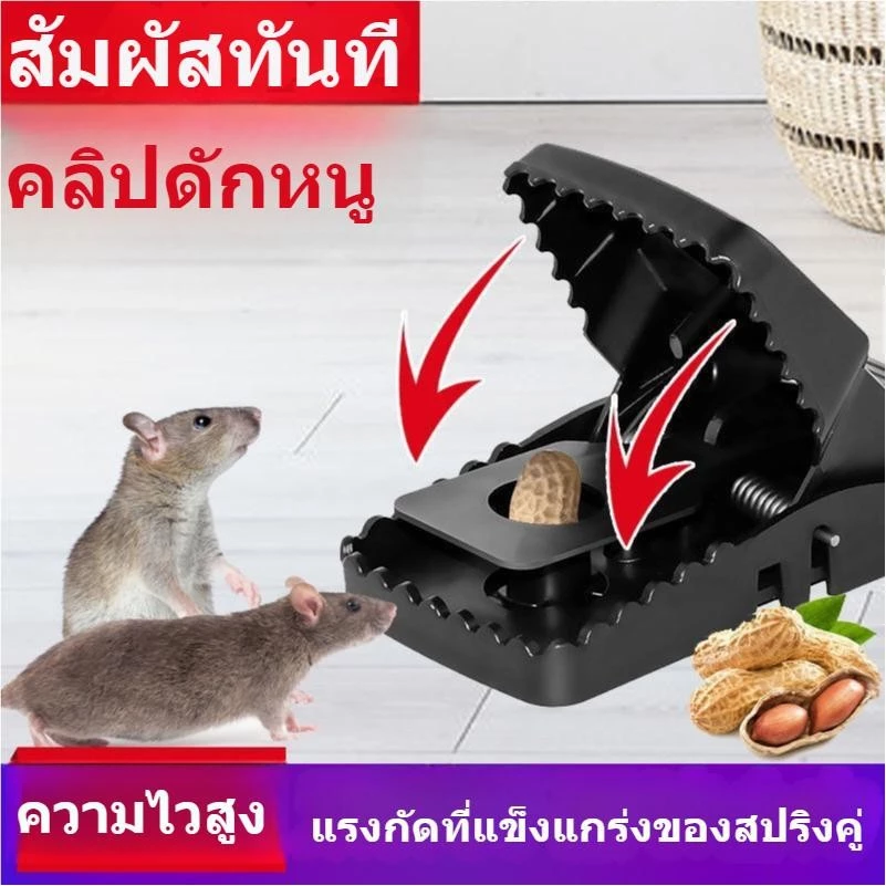กับดักหนู อุปกรณ์ดักหนู ที่ดักหนู อุปกรณ์ดักหนูแบบสปริง ไม่ต้องใช้สารเคมี ไม่ต้องสัมผัสโดนตัวหนู