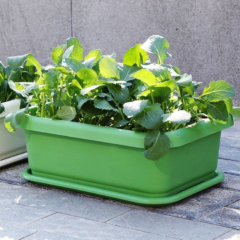 กระถางต้นไม้รางยาว กระถางปลูกผัก 38.5*28.5*14.5cm เขียว มินิมอล กะละมังพลาสติกทรงสี่เหลี่ยม ทนทาน ใหม่ - รูปที่ 2