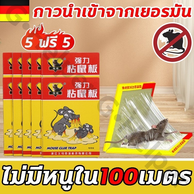 หนูสัมผัสแล้วก็หนีไม่พ้น กาวดักหนู แผ่นกาวดักหนู 10อัน เหนียวหนึบพิเศษ ติดทน ปลอดสารพิษ Sticky mouse board