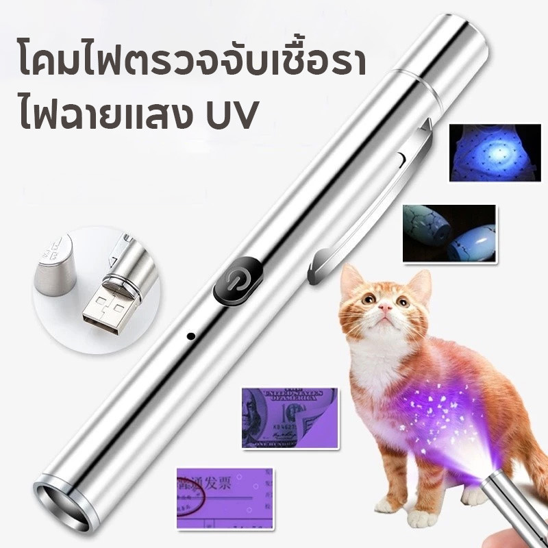 🐱โคมไฟตรวจจับเชื้อรา ไฟฉายแสง uv สำหรับตรวจเชื้อราในสัตว์เลี้ยง ยืนยันจุดที่เกิดเชื้อรา ชาร์จเร็วและตรง USB