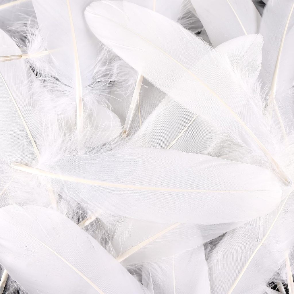 50 ชิ้น ขนห่านธรรมชาติ ขนห่าน ขนนก งานฝีมือ ขนห่านจริงย้อมสี พร้อมส่ง - รูปที่ 3