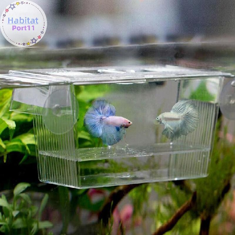 HabitatPort Aquarium Fish Tank Guppy Double Breeding Breeder Rearing Trap Box Hatchery th
